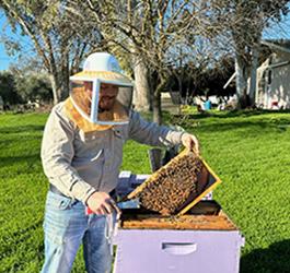 Buzz-Worthy Research for Honeybees